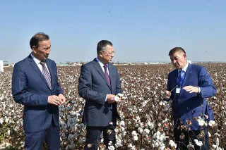 Капитал - Хлопок, как бренд ЮКО, должен быть конкурентоспособным