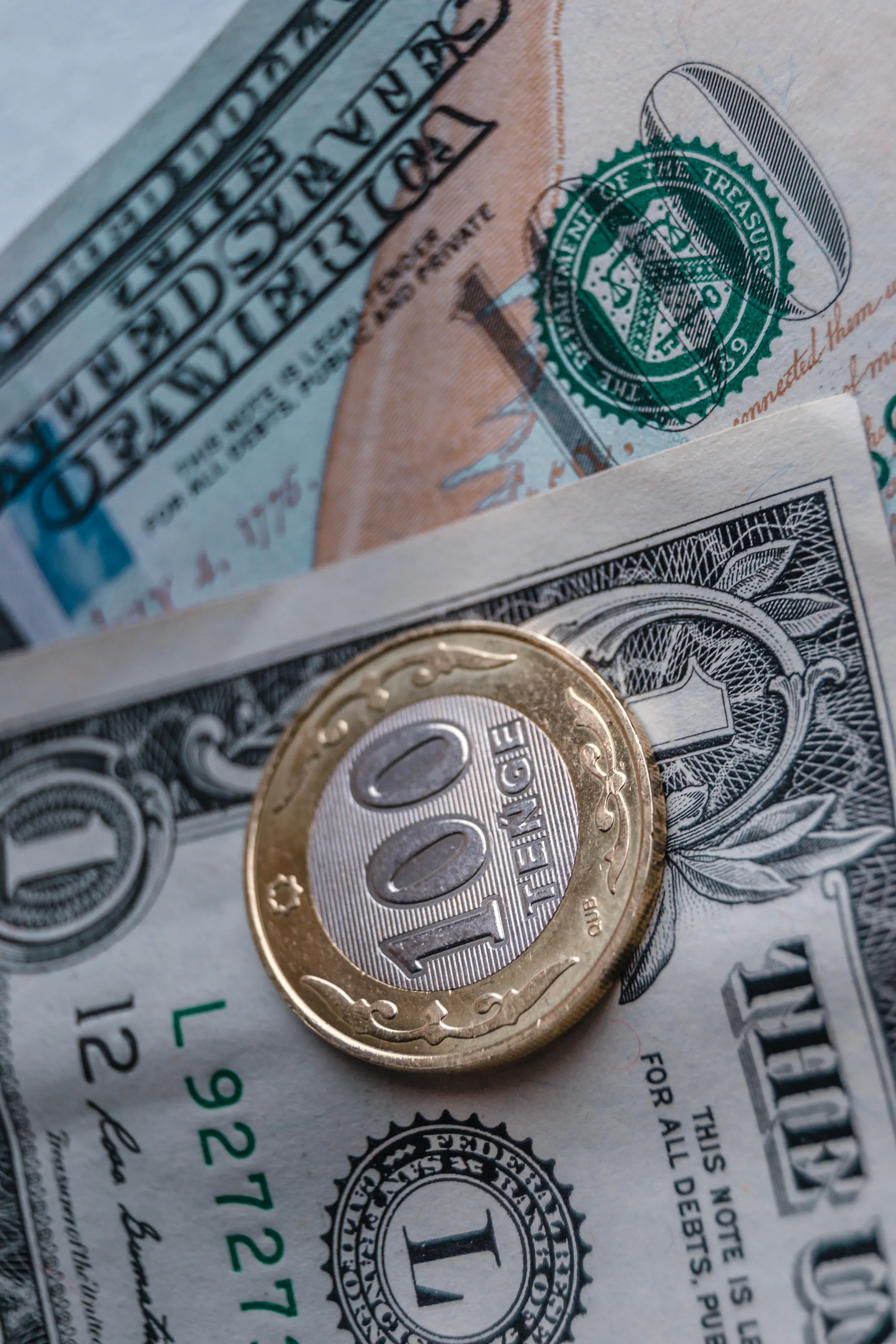 Фото: Валерия Змейкова