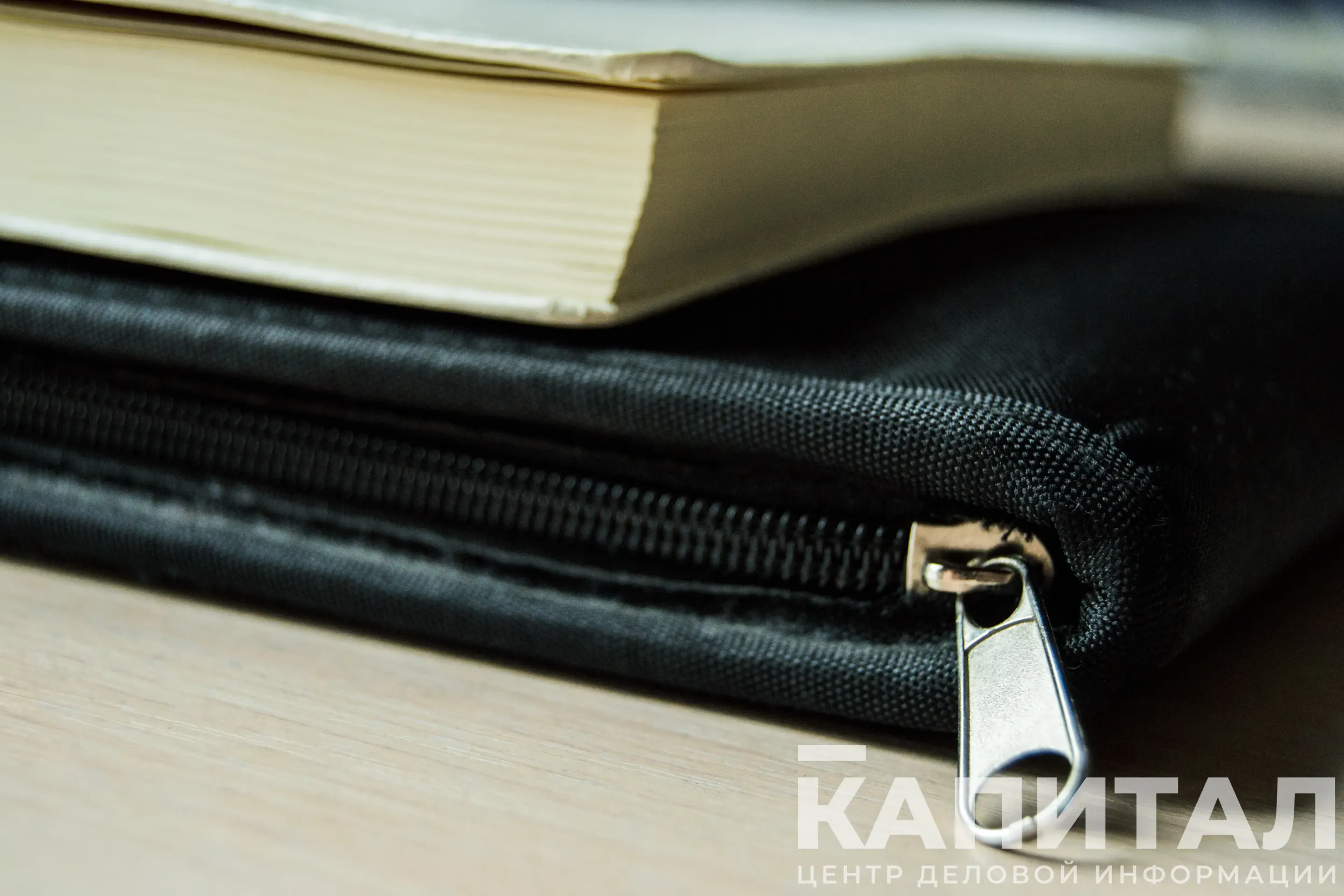 Валерия Змейкова 