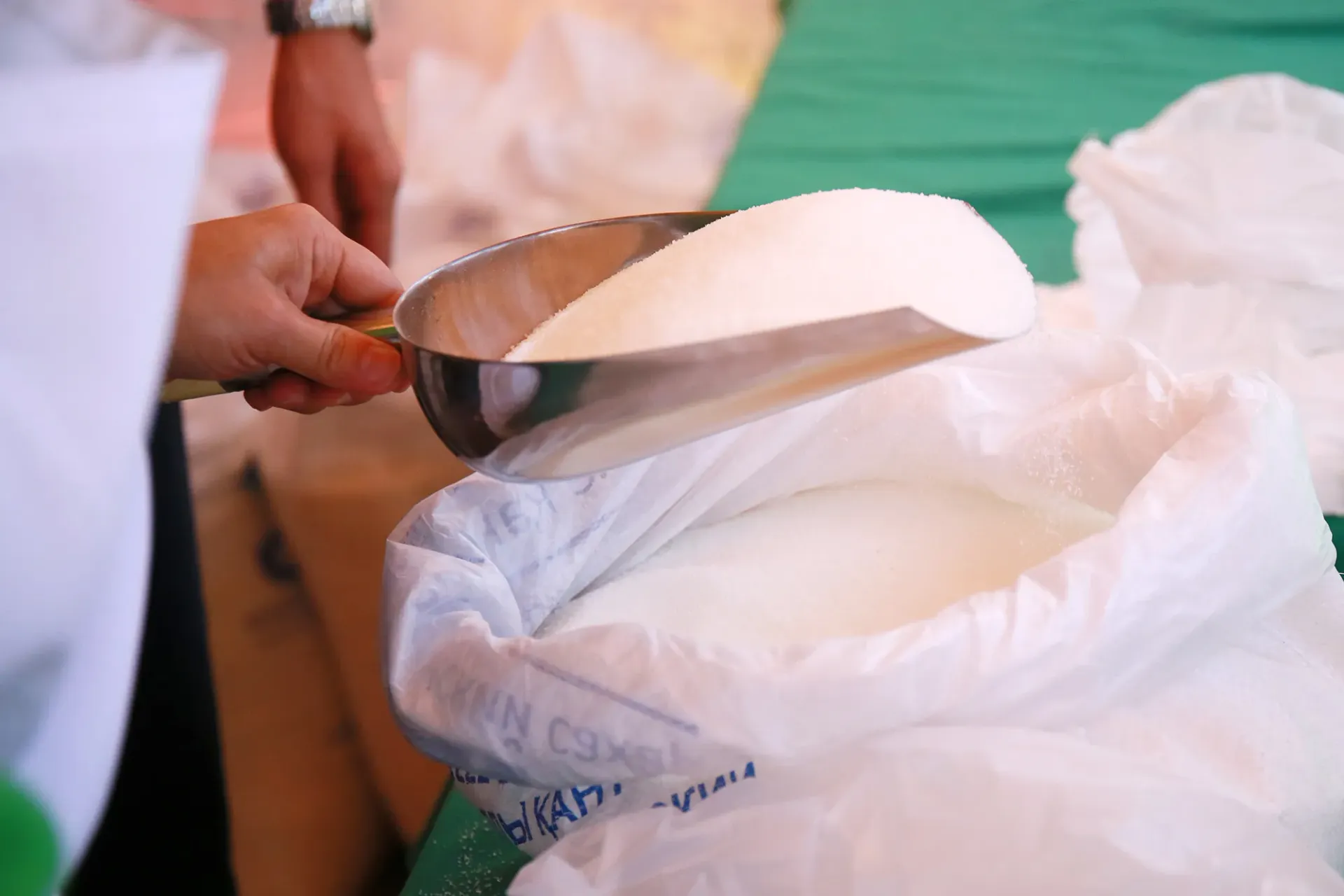 Фото: Руслан Пряников 