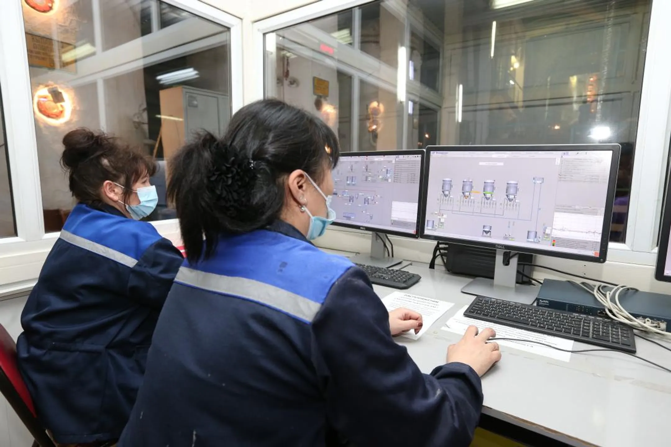 В Алматинской области начали перерабатывать сахарный тростник - Image Kapital.kz