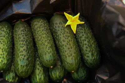 В Казахстане вновь дорожают продукты