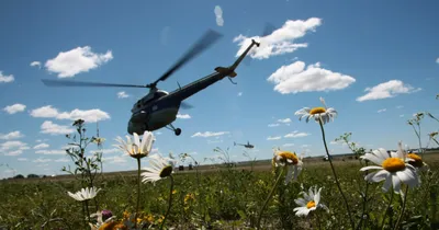 Вертолет Ми-2 совершил жесткую посадку в Акмолинской области
