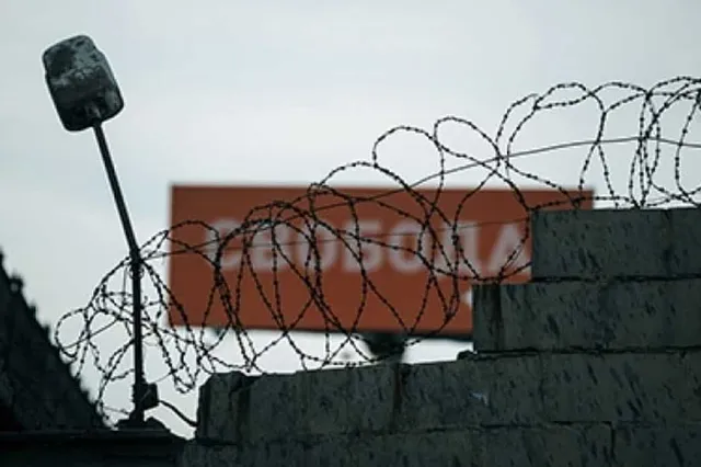 ptoday.ru 