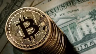 Капитал - Илон Маск и компания SpaceX не планируют продавать биткоины