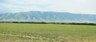 Фото: Руслан Пряников