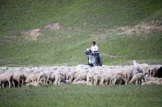 Фото: Руслан Пряников