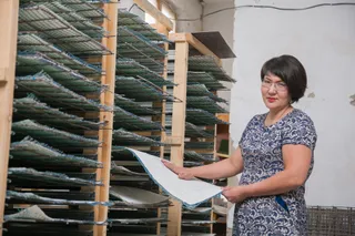 Капитал - Как построить бизнес на гибком камне