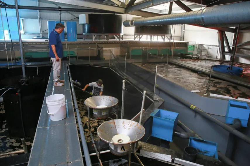 Фото: Руслан Пряников