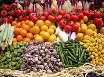 Шымкент получит овощи по цене производителя
