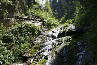 Фото: Руслан Пряников