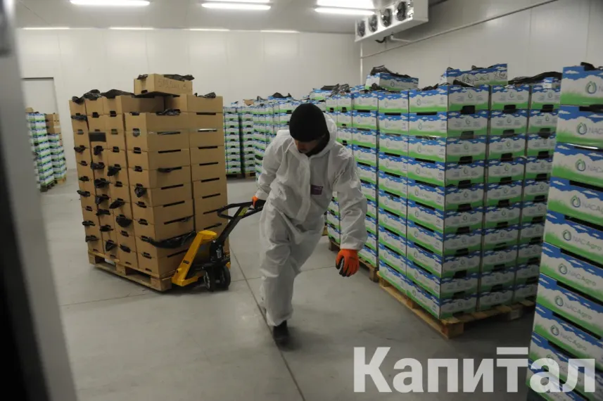 Капитал - Минторговли отказалось от строительства 24 ОРЦ - НПП