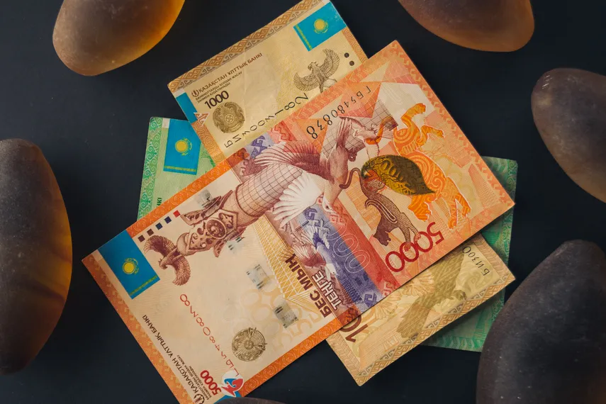 Фото: Валерия Змейкова