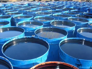 Капитал - Нефть может подорожать выше $70 за баррель в 2017 году