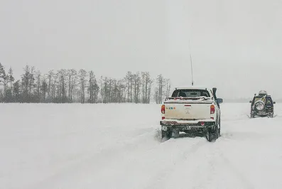 В России открыли охоту на скупщиков из РК