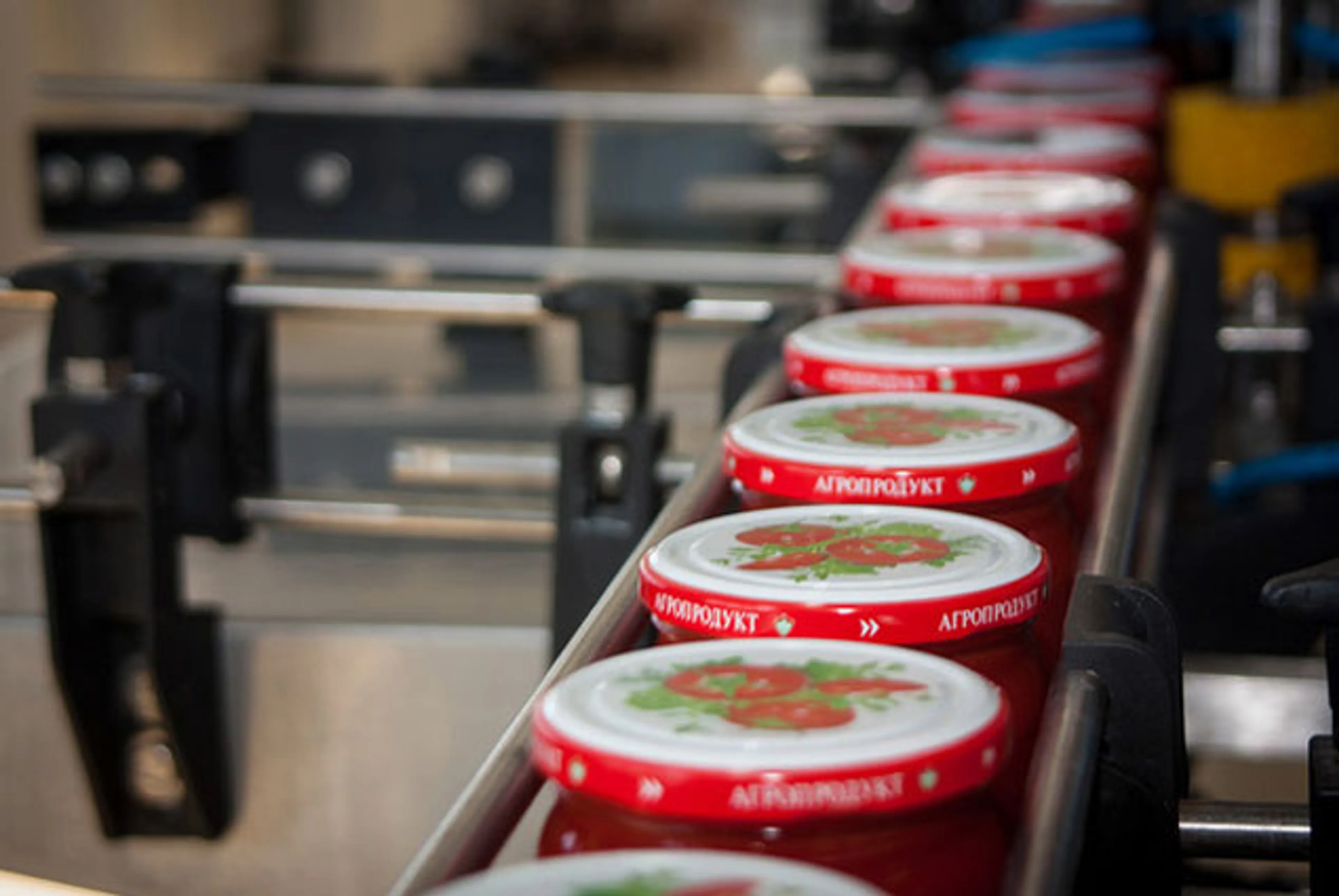 Капитал - Названы условия ввоза сельхозпродукции из Европы и США в Россию