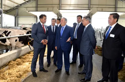 Президент порекомендовал аграриям ВКО выходить на рынок Китая