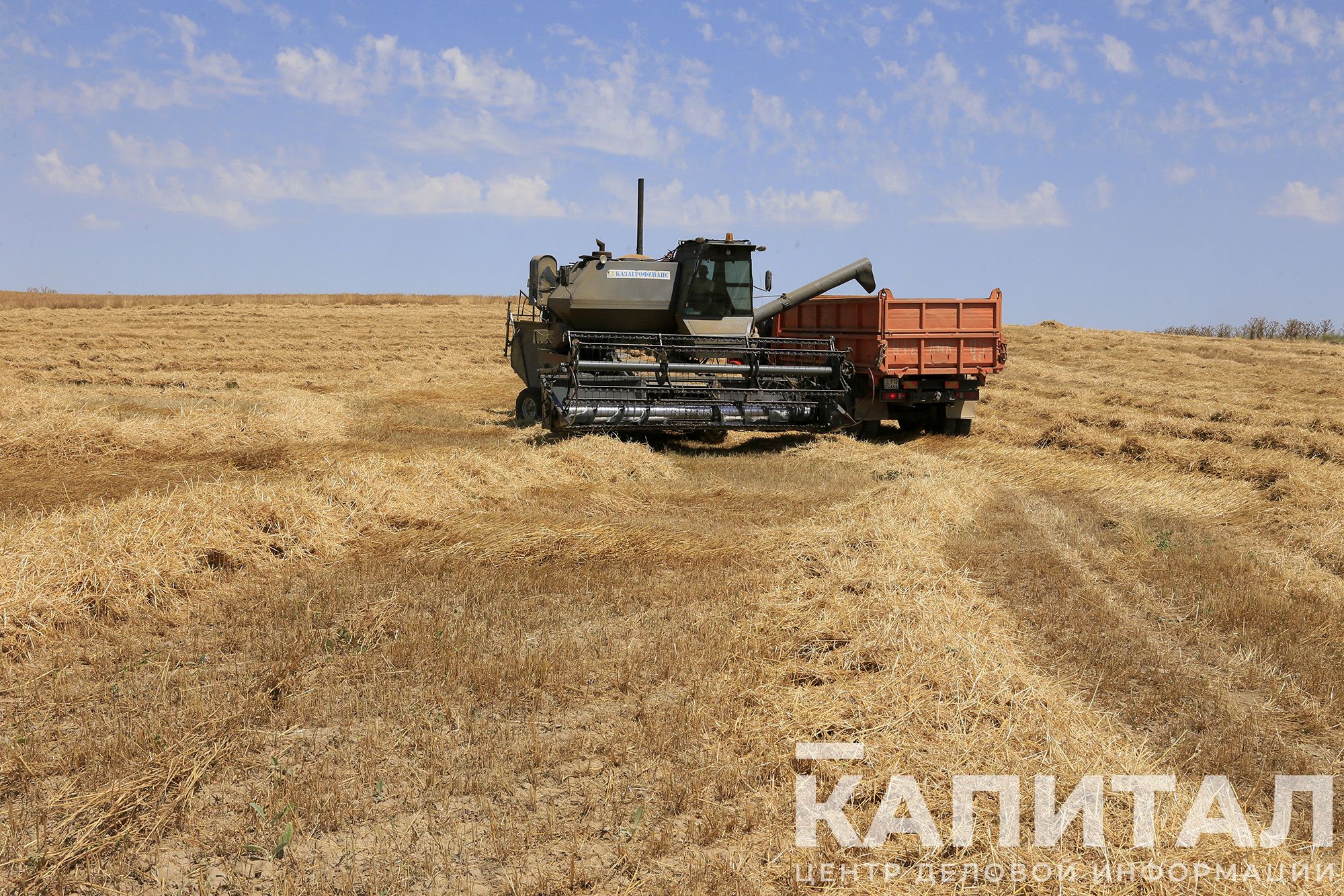 Фото: Руслан Пряников