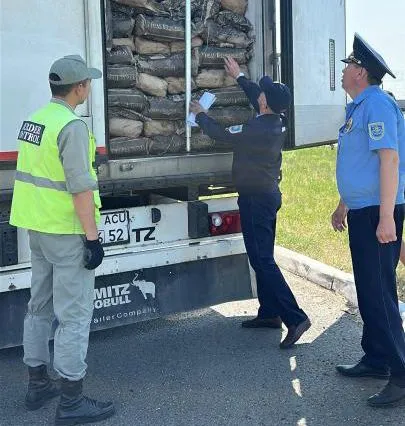 В Казахстан пытались незаконно ввезти 30 тонн пищевых яиц