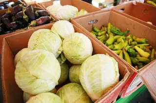 Фото: Руслан Пряников