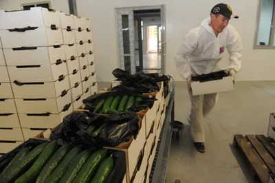 В регионах появятся оптово-распределительные центры