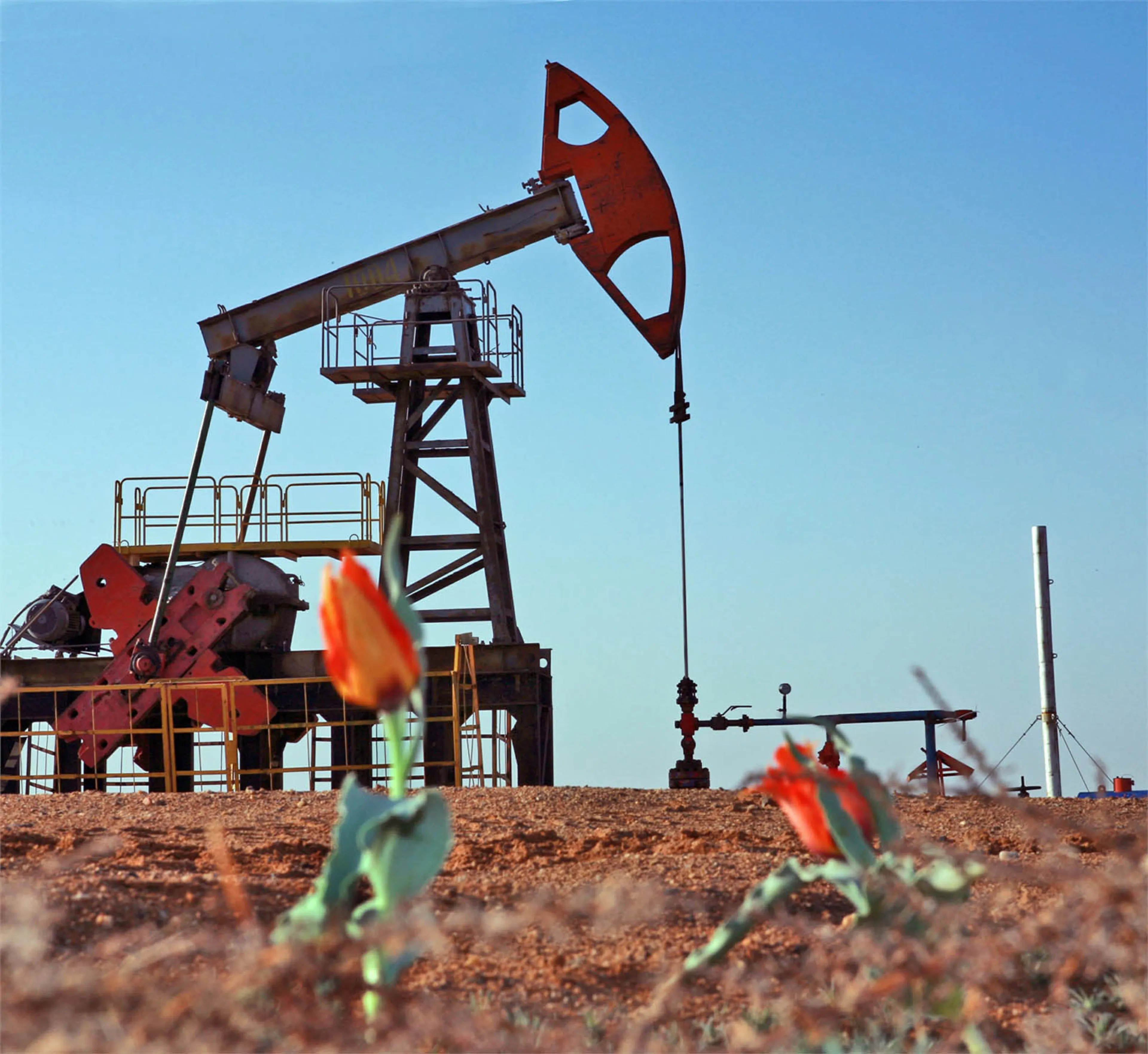 Капитал - Как «подружить» нефть и экономику