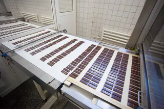 Капитал - Кондитерам РК нужно объединить усилия для экспорта в Китай