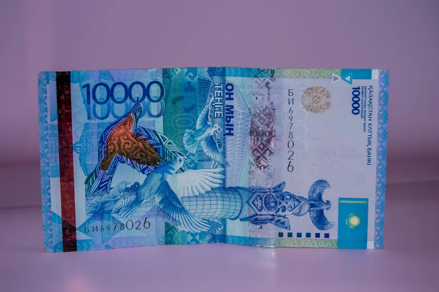 Фото: Валерия Змейкова