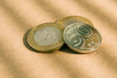 Фото: Валерия Змейкова