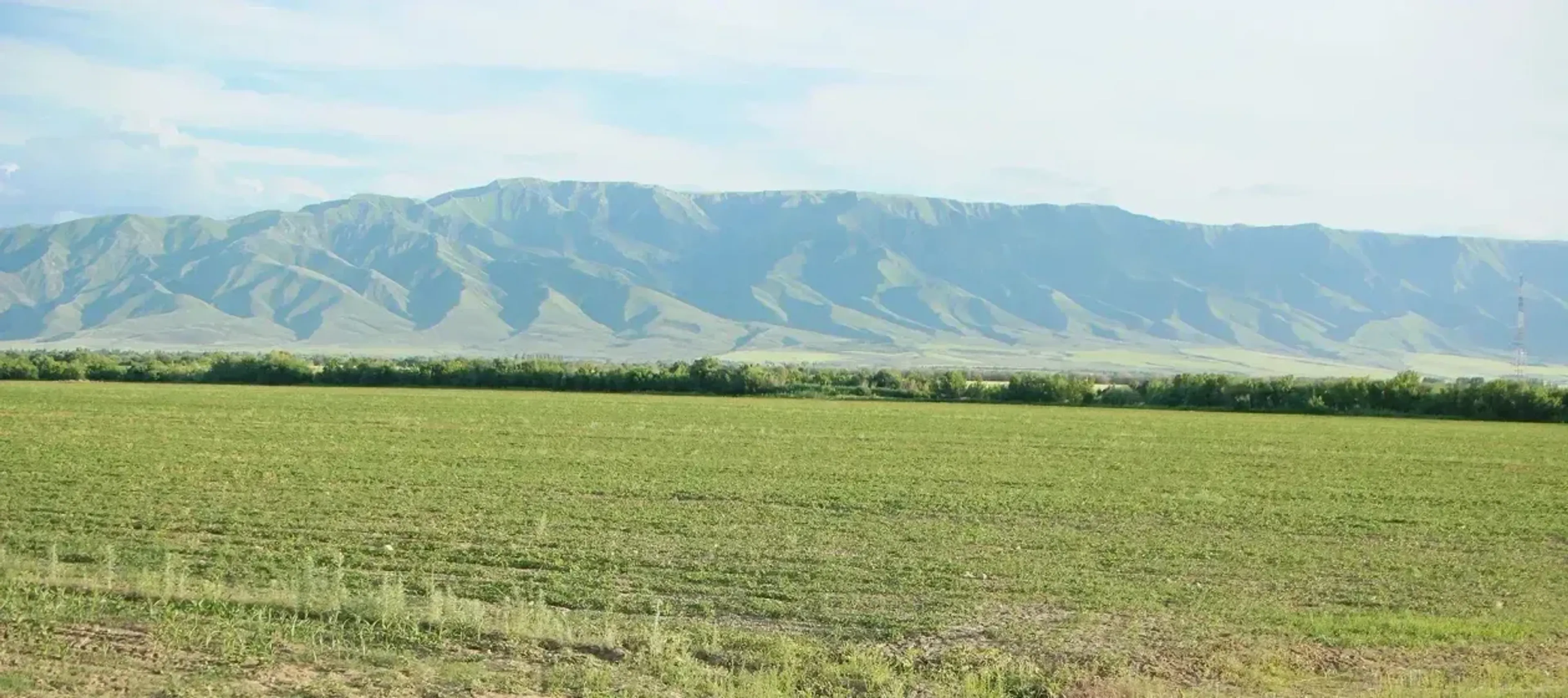 Фото: Руслан Пряников