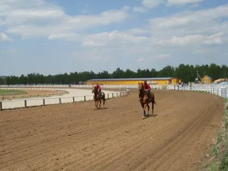 Капитал - В Казахстане выводят новую породу лошадей