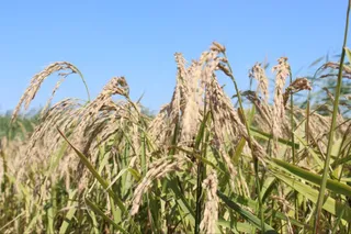 Фото: Министерство водных ресурсов и ирригации РК 