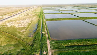 Фото: Министерство водных ресурсов и ирригации РК 