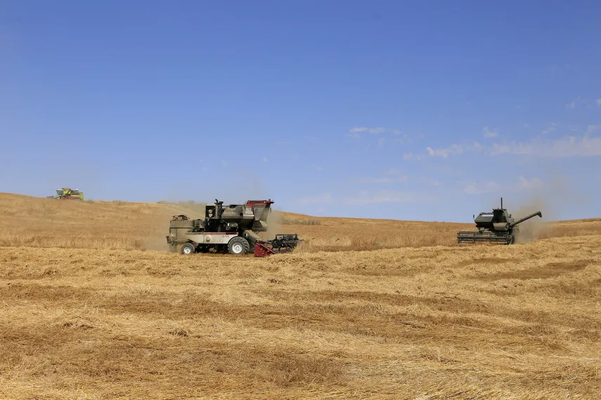 Фото: Руслан Пряников