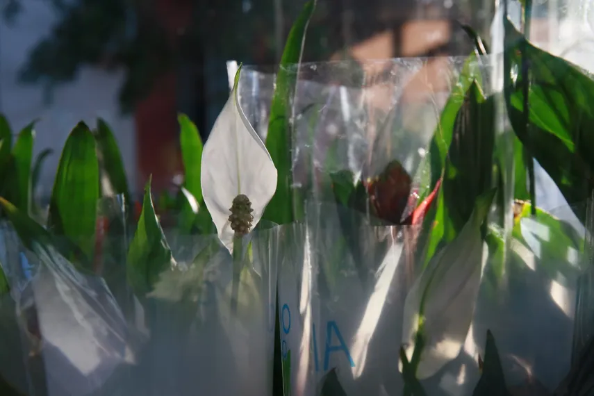 Фото: Руслан Пряников