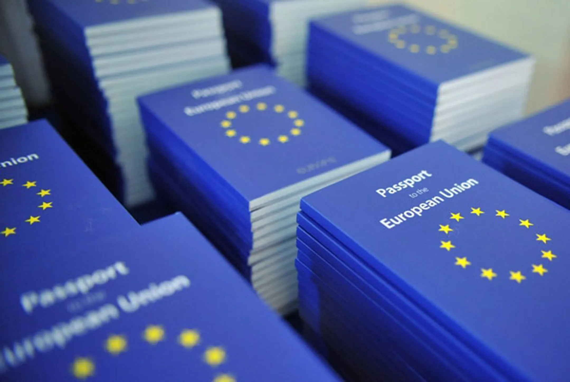 Больше всего видов на жительство в ЕС получили украинцы - Image Kapital.kz