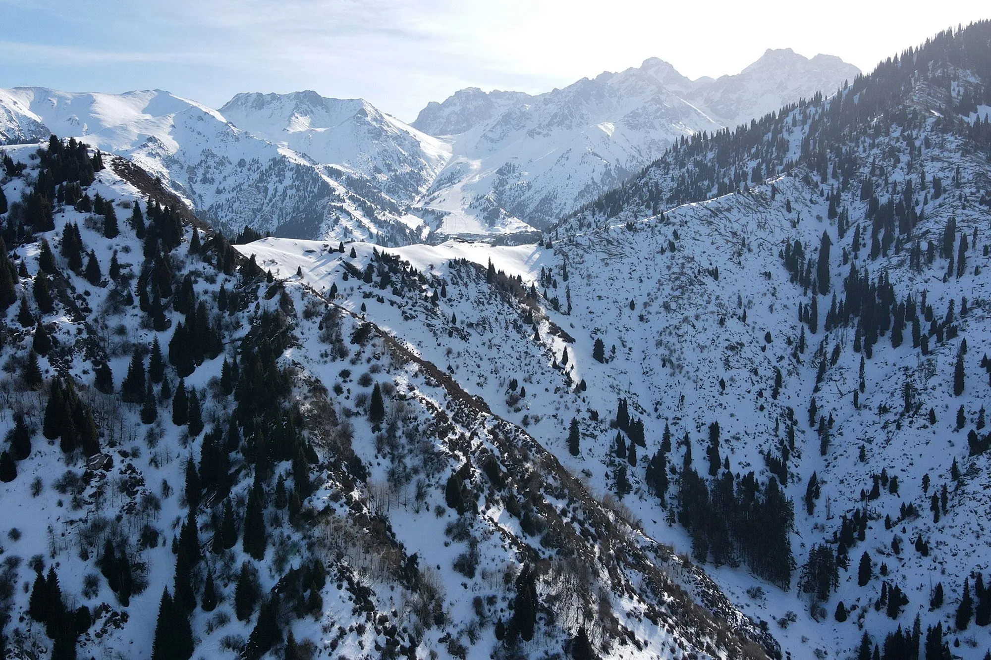 Казахстан в 2026 году примет более 20 международных соревнований