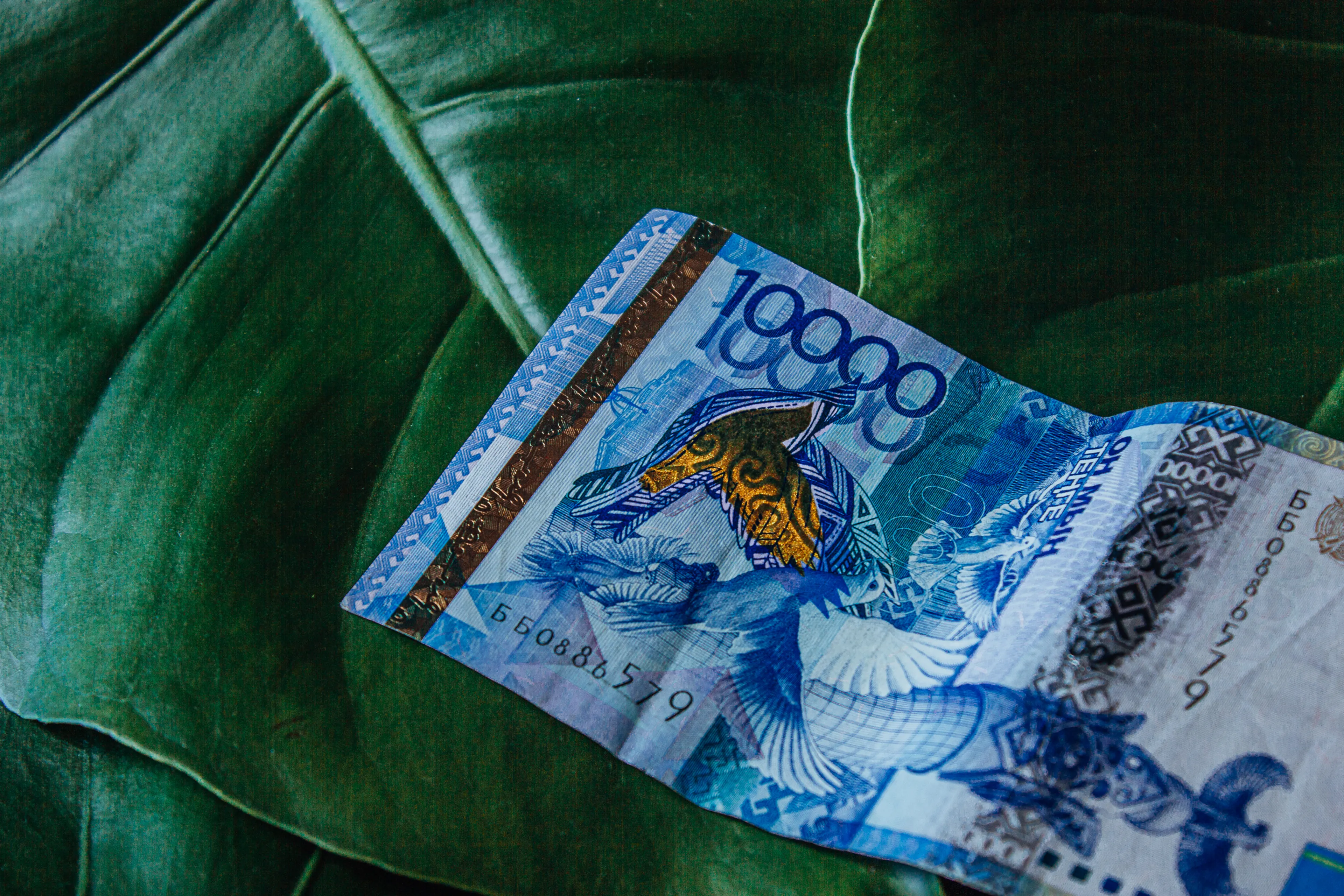 Фото: Валерия Змейкова