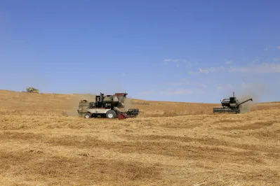 Фото: Руслан Пряников