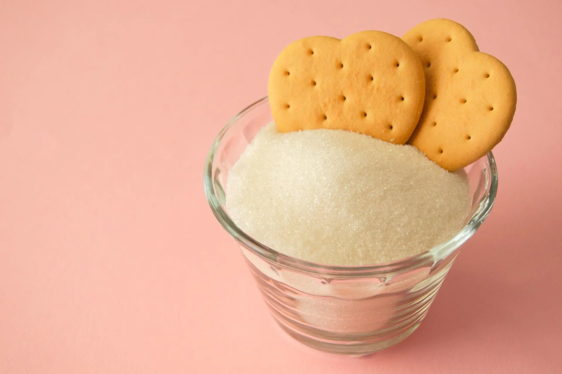 Фото: Валерия Змейкова