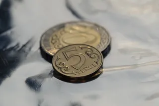 Фото: Валерия Змейкова