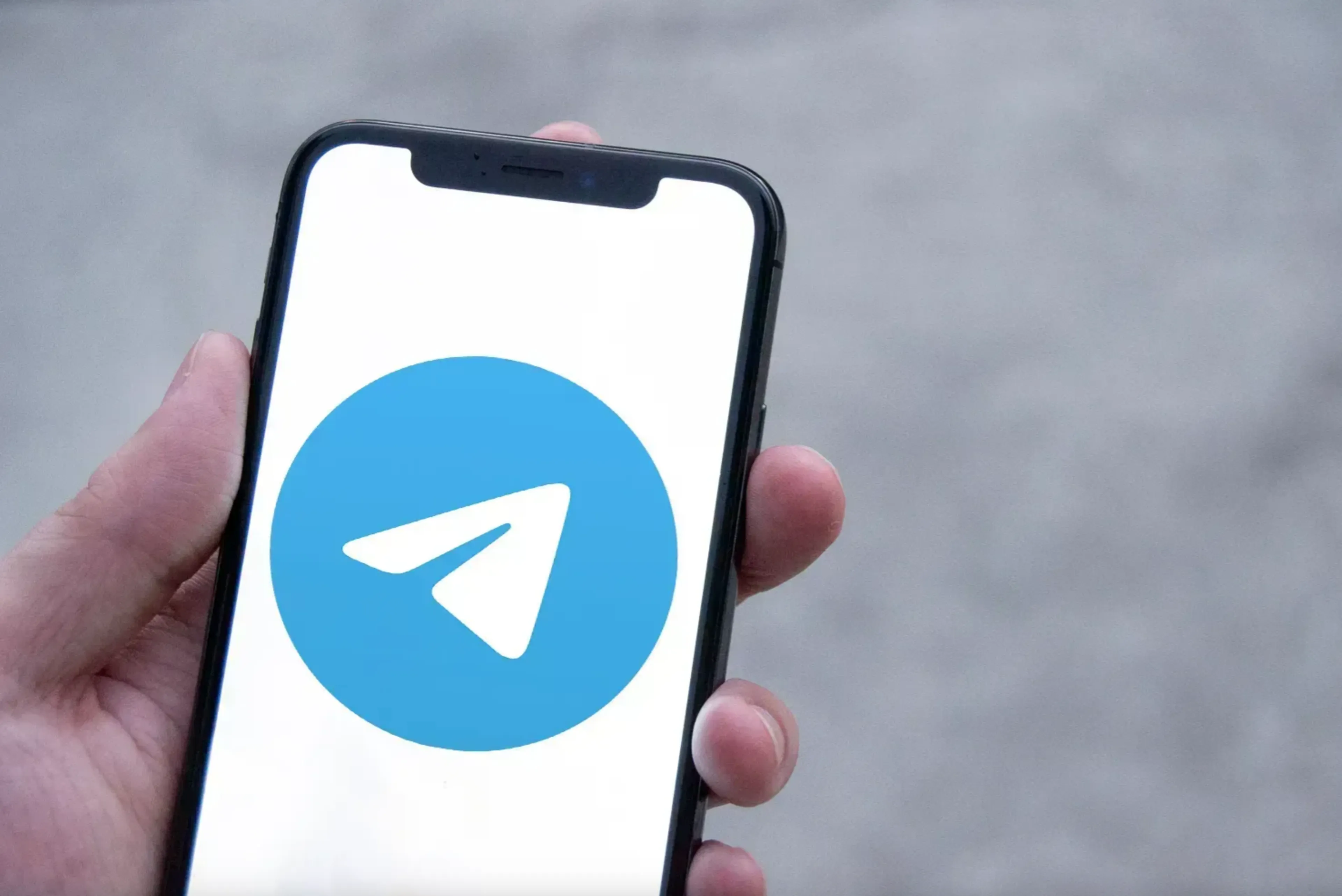 Фото: Валерия Змейкова