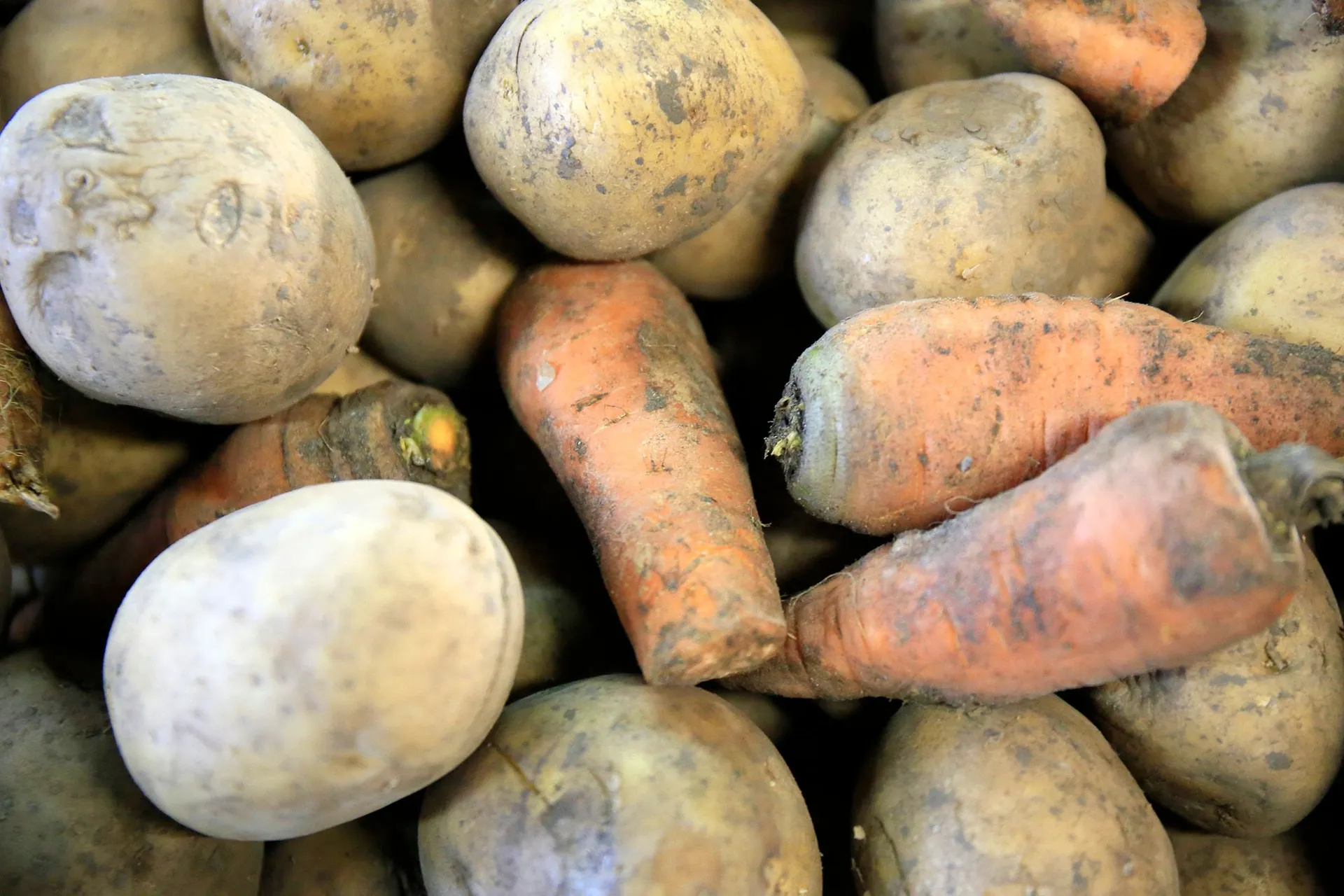 Фото: Руслан Пряников