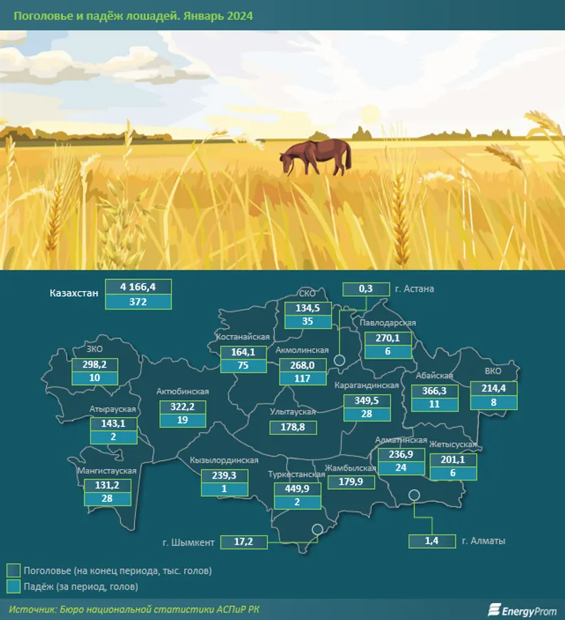 Казы подорожало на 5% за год, жая — почти на 3% - фото kapital.kz