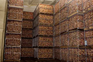 Капитал - В Астане построено новое овощехранилище