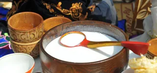 Капитал - Казахстан начал экспортировать верблюжье и кобылье молоко