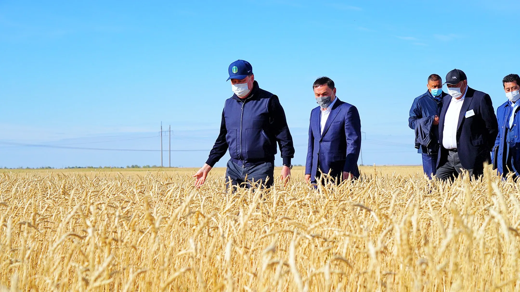 В Акмолинской области собрано почти 3 млн тонн зерна - Image Kapital.kz