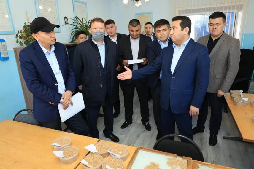 Капитал - Какую поддержку получат аграрии Костанайской области