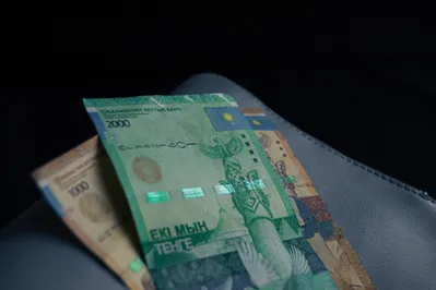 Фото: Валерия Змейкова