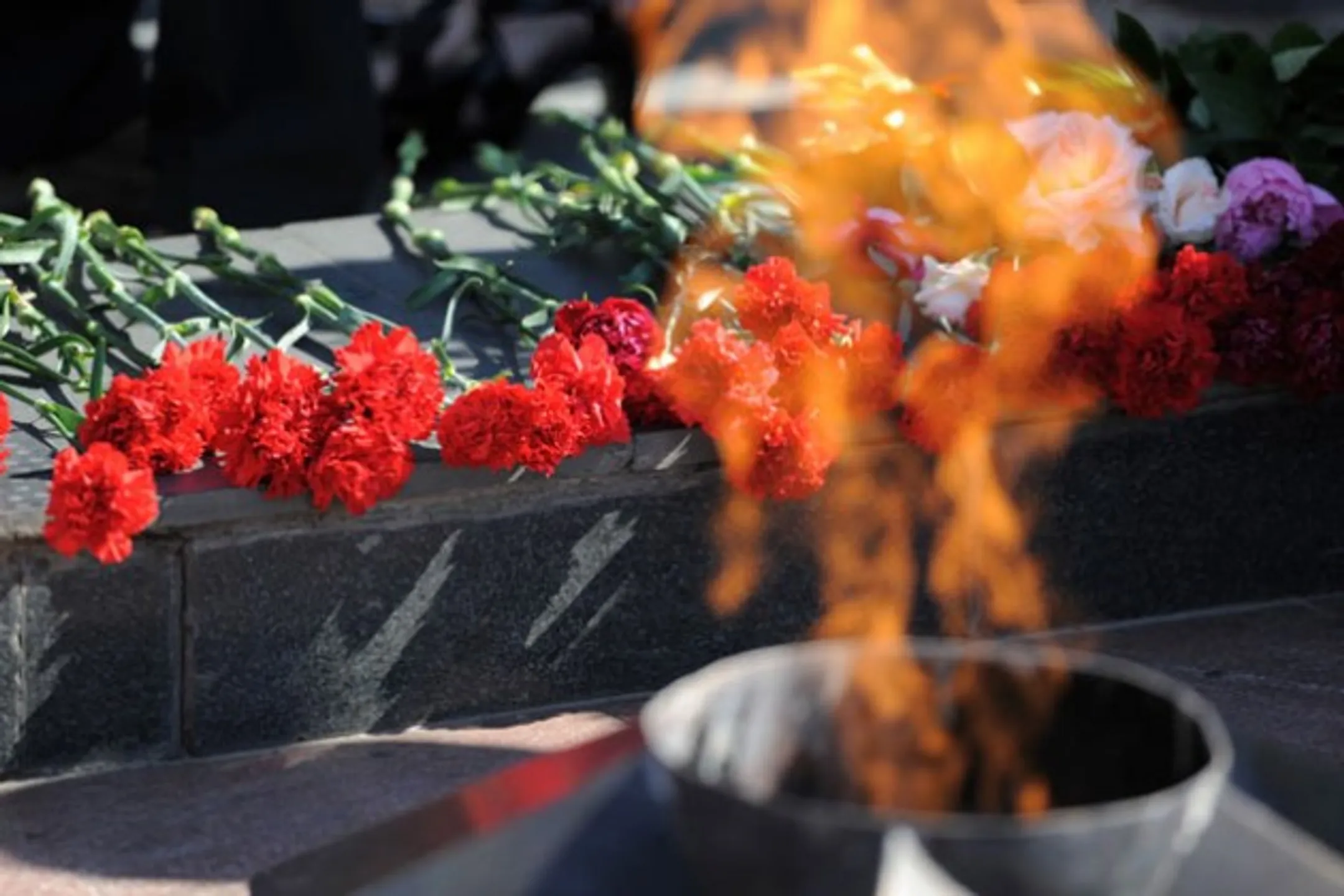 Какую помощь получат ветераны ко Дню Победы - Image Kapital.kz